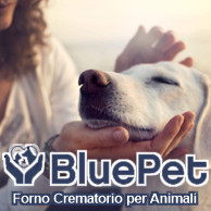BLUE PET